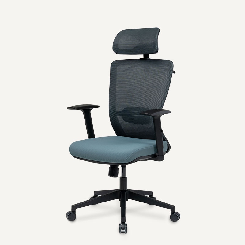 Product photograph of Flexispot Bs3 Chair Ergonomic Office Chair Ergonomic Resilient Swivel Study Office Chair In Blue With Arms And Back Support from FlexiSpot UK