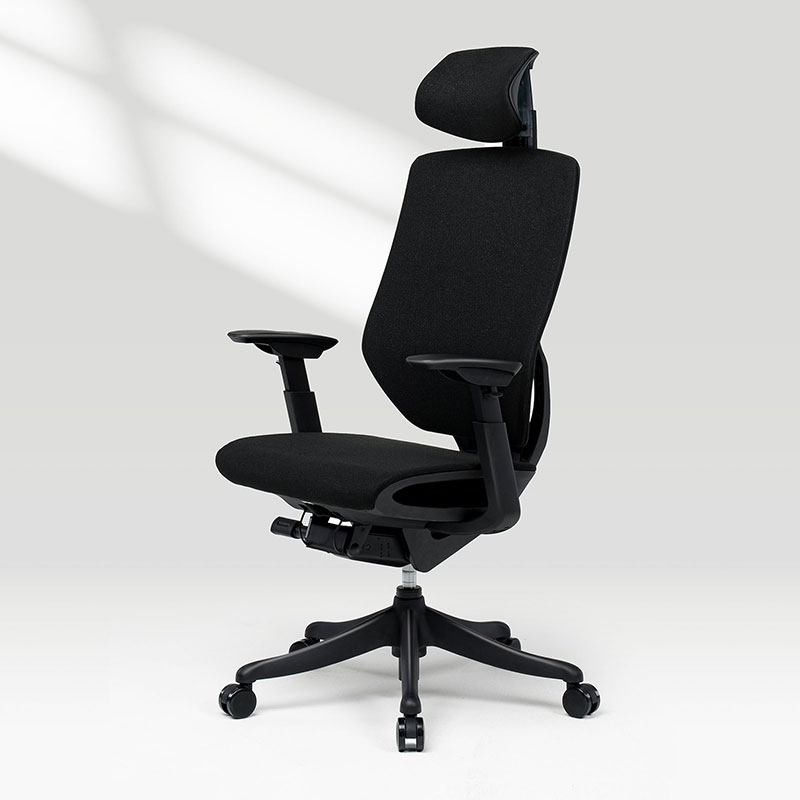 Product photograph of Flexispot Bs12 Pro Multifunctional Adjustable Upgraded Ergonomic Office Chair Comfortable Fabric Desk Computer Chair With Arms And Back Support from FlexiSpot UK