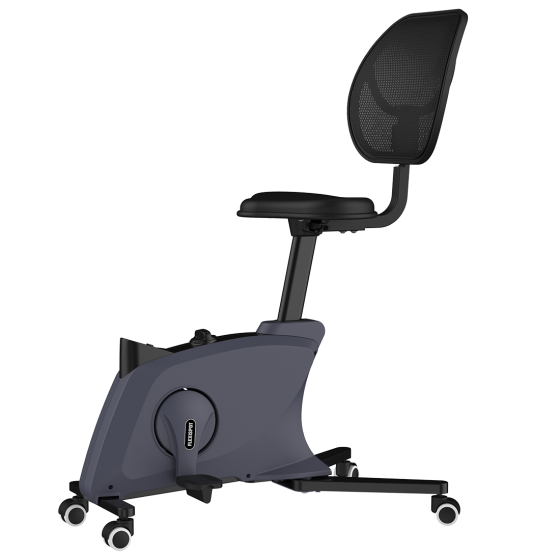 Product photograph of Flexispot Fitness Chair Sit2go 2-in-1 Black from FlexiSpot UK