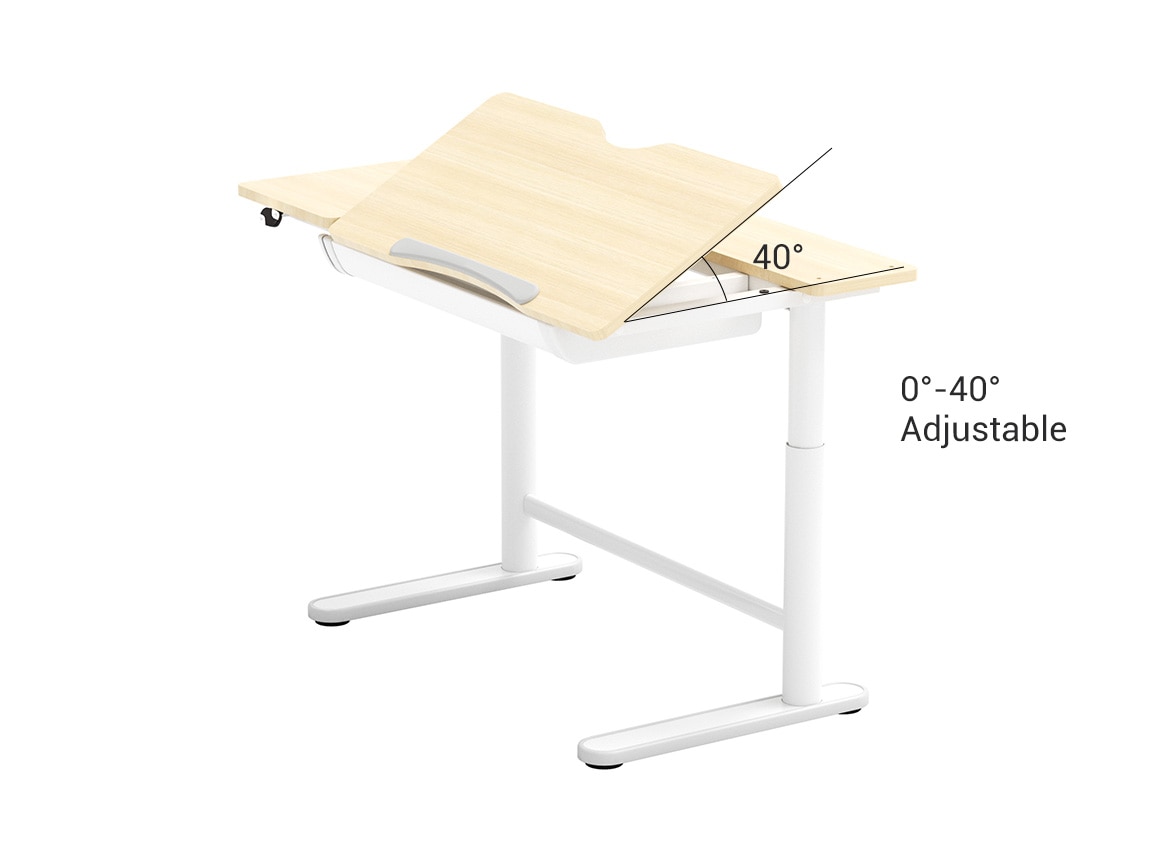 Flexispot SD2 Standing Desk