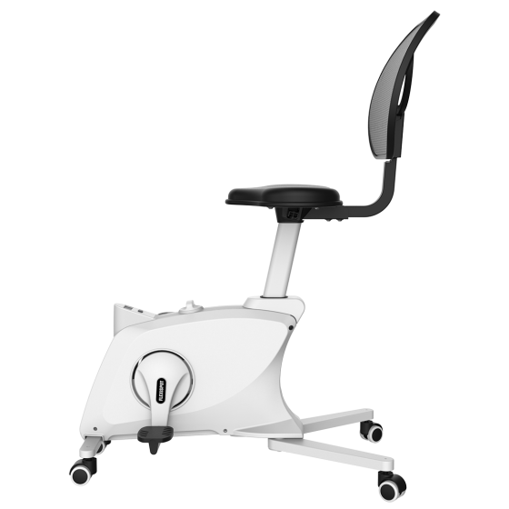 Product photograph of Flexispot Fitness Chair Sit2go 2-in-1 White from FlexiSpot UK