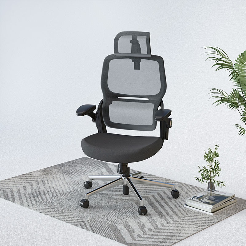 Flexispot BS1B Back Support office chair review