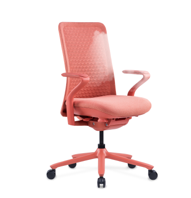 Poly Ergonomic Office Chair | FlexiSpot