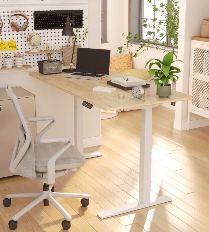 FlexiSpot E7-PRO Upgraded Standing Desk Height Adjustable Desk Standup Desks for Home Office Gaming White