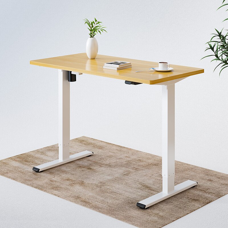 Product photograph of Flexispot Smart Standing Desk Frame Eg1 For Home Office from FlexiSpot UK