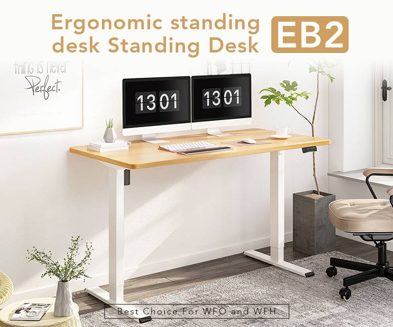 Dynamik Standing Desk EB2| FlexiSpot
