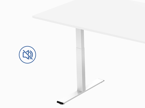 Flexispot E2 Standing Desk